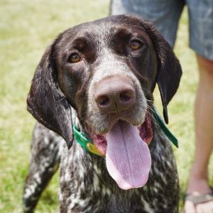 Meet your Posher, Caitlin